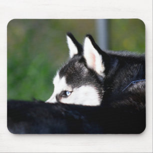 Rouco Siberian Mousepad