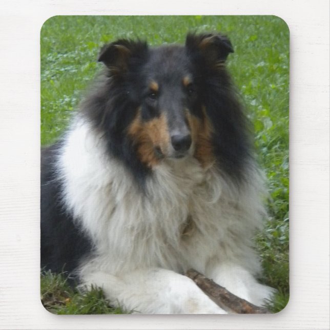 Rough Collie Mouse pad (Frente)