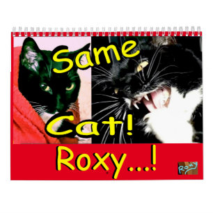 Roxi de Gato de Calendário