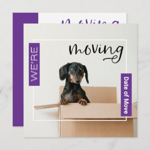 Roxo Estamos Movendo Cão de Dachshund no Cartão