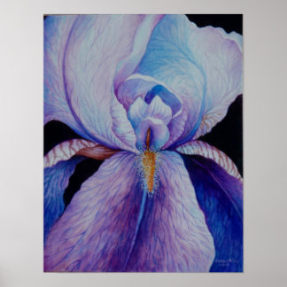 Roxo Iris Watercolor Art Poster