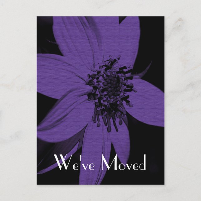 Roxo Sunflower New Address Cartão de Arte Floral (Frente)