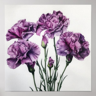 Roxos Carnações Flores Impressão