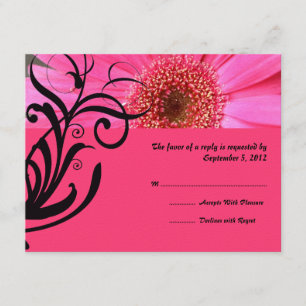 RSVP de Casamento de Daisy Rosa Quente