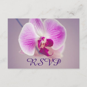 RSVP de Casamento de Orquídeas Roxas Radiantes