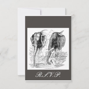 RSVP de Casamento Elefante