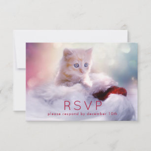 RSVP de Kitten de Natal