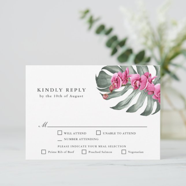 RSVP Tropical das Orquídeas Rosa Quente com Enárvo (Em pé/Frente)