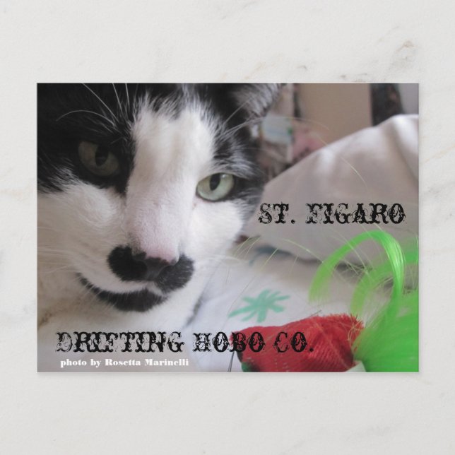 Rua. Cartão postal Figaro (Frente)