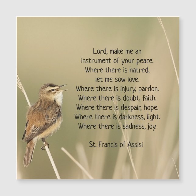 Rua. Francis de Assisi Prayer Bird Inspirational (Frente)