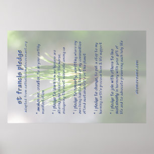 rua francis garantia ( revista ) POSTER