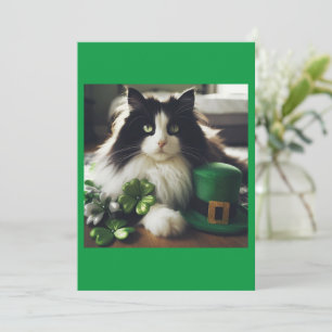 Rua, Gato do Dia da Patty