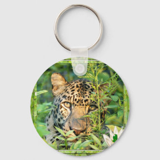 Rua-leopardo, Chaveiro do Patrick