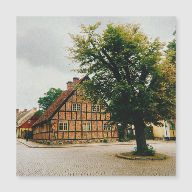 Ruas Cobblestone da cidade de Malmö (Frente)