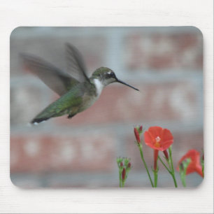 Rubi-garganta & corriola Mousepad