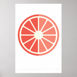 Ruby Citrus Retro Fruta Poster 60's 70
