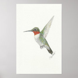 Ruby-Throated Hummingbird Poster
