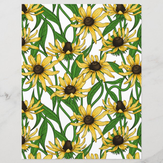 Rudbekia amarela em branco (Frente)