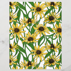 Rudbekia amarela em branco