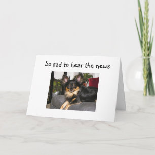 RUFF 40! CARTÃO DE ANIVERSÁRIO