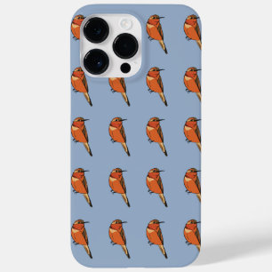 Rufous Hummingbird
