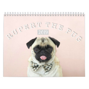 Rupert o calendário de parede do Pug 2019