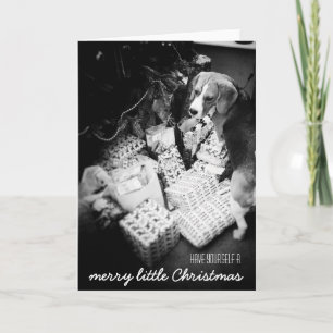 Rupert o cartão de Natal do Beagle