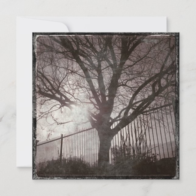 Ruptura Rústica de Árvore Distante Silhuette (Frente)