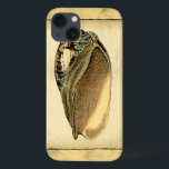 Rustic Vintage Seashell<br><div class="desc">Este trabalho de arte do Vision Studio captura alguns dos melhores oceanos da vida marinha. Pegue este pedaço rústico de trabalho de arte desta concha de Conch. Leve o oceano com você para onde quer que vá.</div>