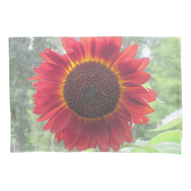 Rusty Red Sunflower (Frente)