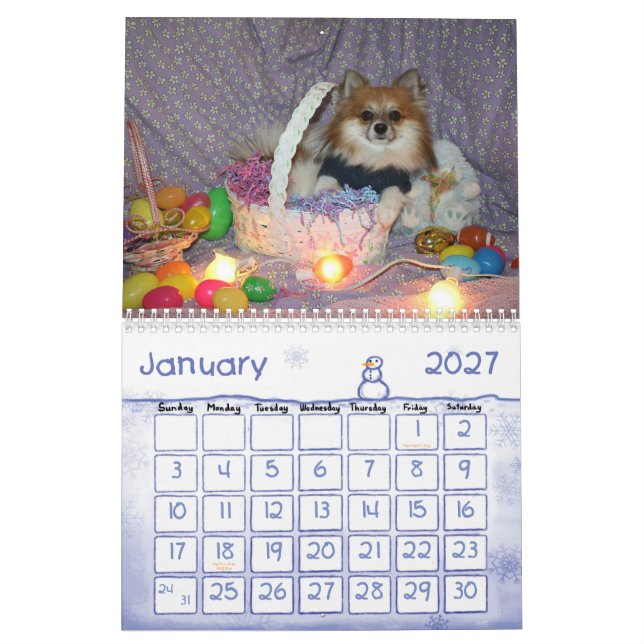 Ryder o Calendário do Pom (Jan 2027)