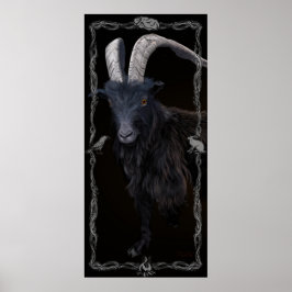 Sabá de bruxa - Grande Poster