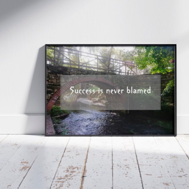 Sabedoria de sucesso dizendo poster de foto de pon (Criador carregado)