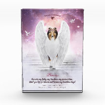 Sable Rough Collie Angel no Céu - Memorial Pet