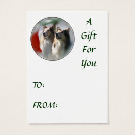 Sable Rough Collie presentes de Natal