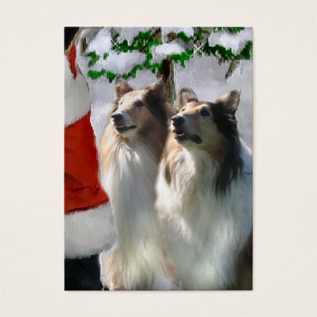 Sable Rough Collie presentes de Natal (Frente)