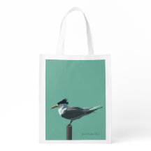 Aves -- Trinta-réis-de-topete