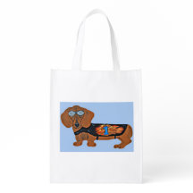 Dachshund in Racing Jacket