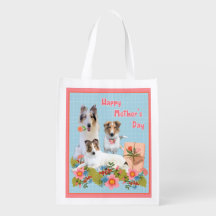 Três Collies Gorgorazes