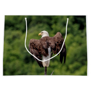 Sacola Para Presentes Grande Águia careca em um galho