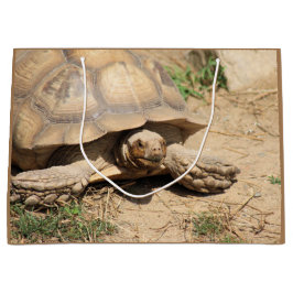 Sacola Para Presentes Grande Ala aldabra