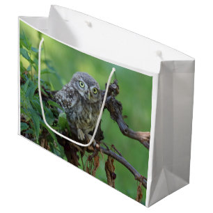 Sacola Para Presentes Grande Athene noctua
