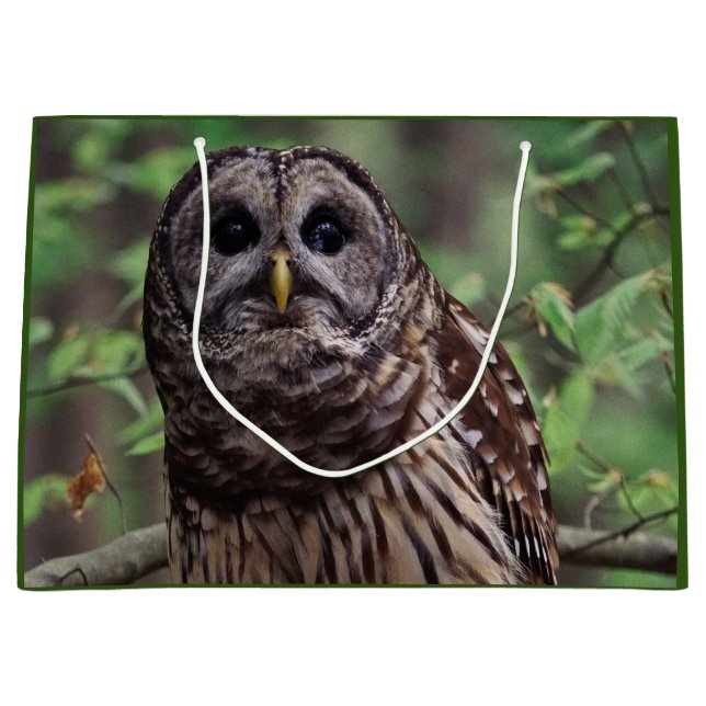 Sacola Para Presentes Grande Barred Owl (Frente)
