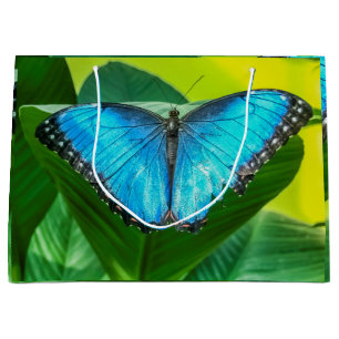 Sacola Para Presentes Grande Blue Morpho Butterfly Arte Floral
