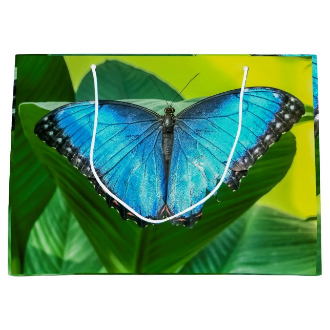 Sacola Para Presentes Grande Blue Morpho Butterfly Arte Floral (Frente)