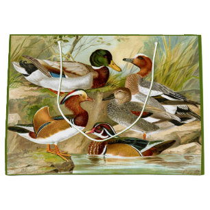 Sacola Para Presentes Grande Bonitos Patos Vintage Na Vida Selvagem De Pond