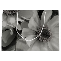 Brown Eyed Susan Flowers