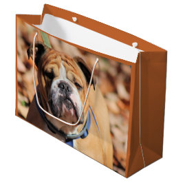 Sacola Para Presentes Grande Buddy Bulldog Gift Bag