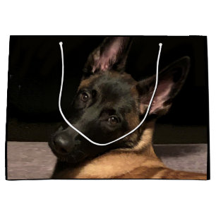 Sacola Para Presentes Grande Cão Malinois belga