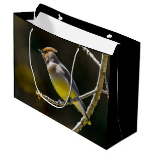 Sacola Para Presentes Grande Cedar Waxwing Songbird Original Foto de Pássaro Se